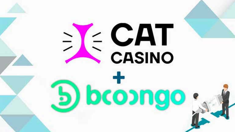 
                                Booongo запускает онлайн-слоты в CatCasino
                            