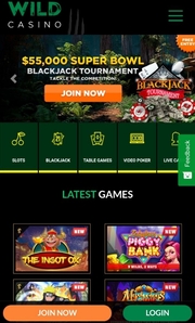 Казино Wild - играть онлайн бесплатно, официальный сайт, скачать клиент