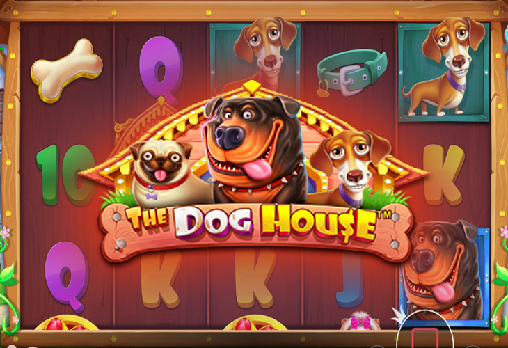  The Dog House (Собачья будка) — игровой автомат, играть в слот бесплатно, без регистрации