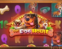 Казино Turbo Casino - играть онлайн бесплатно, официальный сайт, скачать клиент