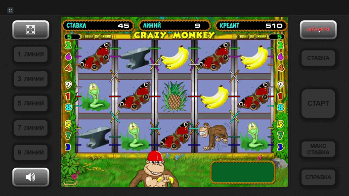 Игровой автомат Crazy Monkey от провайдера Igrosoft — как выиграть в бонусной и в основной игре