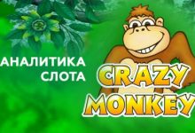 Photo of Игровой автомат Crazy Monkey от провайдера Igrosoft — как выиграть в бонусной и в основной игре