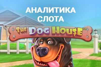 Игровой автомат The Dog House от Pragmatic Play — аналитика основной и бонусной игр