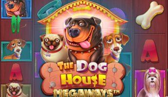  The Dog House (Собачья будка) от Pragmatic Play — игровой автомат, играть в слот бесплатно, без регистрации