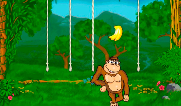 Как выиграть в Crazy Monkey — правила игры в Обезьянки, секреты автомата и полезные советы