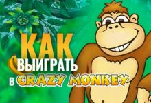Photo of Как выиграть в Crazy Monkey — правила игры в Обезьянки, секреты автомата и полезные советы