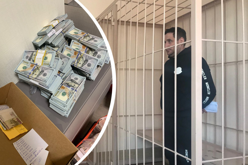  Новосибирский бизнесмен арестован со второй попытки: у него дома обнаружили 120 млн. рублей 