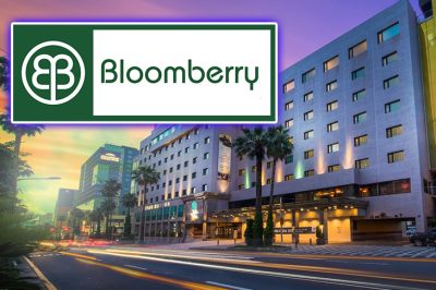 Чистая прибыль Bloomberry за третий квартал 2023 года составила 1,86 млрд