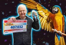 Photo of Шотландский заводчик попугаев выиграл 407 000 в лотерею почтовых индексов
