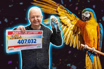 Шотландский заводчик попугаев выиграл 407 000 в лотерею почтовых индексов
