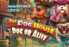 Photo of Аналитика игрового автомата The Dog House – Dog or Alive провайдера Pragmatic Play