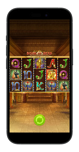 Wild в казино со слотами — что такое дикий символ в игровых автоматах | Casino.ru