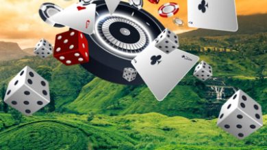 Photo of Развитие игорного бизнеса Шри-Ланки на фоне туристического бума в 2025 году | Casino.ru