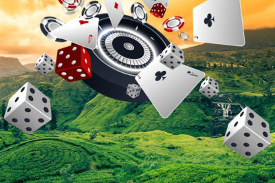 Развитие игорного бизнеса Шри-Ланки на фоне туристического бума в 2025 году | Casino.ru