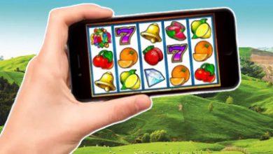 Photo of В Новой Зеландии продвигается процесс легализации онлайн-казино | Casino.ru