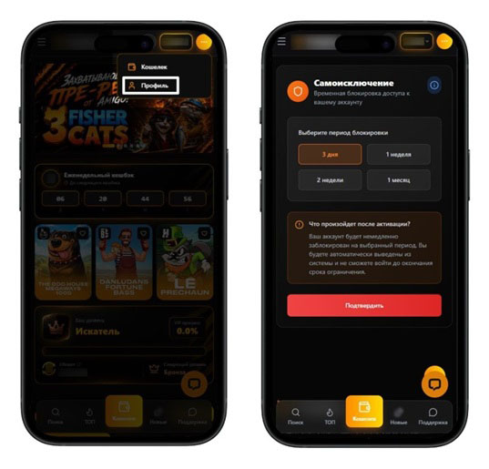 Правила онлайн-казино — условия игры в слоты в интернете | Casino.ru